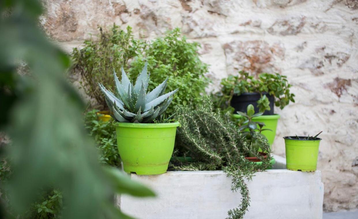 A Litte Taste Of Home Guest House Athen Exterior foto